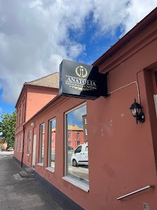 Anatolia Restaurang & Pizzeria Höganäs